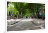 Street Scene, Cours Mirabeau, Aix-En-Provence, Bouches-Du-Rhone, Provence-Alpes-Cote D'Azur, France-null-Framed Photographic Print