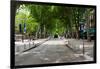 Street Scene, Cours Mirabeau, Aix-En-Provence, Bouches-Du-Rhone, Provence-Alpes-Cote D'Azur, France-null-Framed Photographic Print