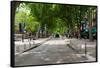 Street Scene, Cours Mirabeau, Aix-En-Provence, Bouches-Du-Rhone, Provence-Alpes-Cote D'Azur, France-null-Framed Stretched Canvas