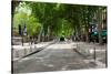 Street Scene, Cours Mirabeau, Aix-En-Provence, Bouches-Du-Rhone, Provence-Alpes-Cote D'Azur, France-null-Stretched Canvas
