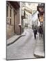 Street Scene, Guadalajara, Mexico-Charles Sleicher-Mounted Photographic Print