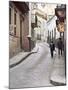 Street Scene, Guadalajara, Mexico-Charles Sleicher-Mounted Photographic Print