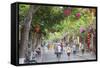 Street Scene, Hoi An, Quang Nam, Vietnam, Indochina, Southeast Asia, Asia-Ian Trower-Framed Stretched Canvas