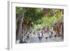 Street Scene, Hoi An, Quang Nam, Vietnam, Indochina, Southeast Asia, Asia-Ian Trower-Framed Photographic Print