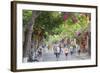 Street Scene, Hoi An, Quang Nam, Vietnam, Indochina, Southeast Asia, Asia-Ian Trower-Framed Photographic Print