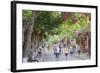 Street Scene, Hoi An, Quang Nam, Vietnam, Indochina, Southeast Asia, Asia-Ian Trower-Framed Photographic Print