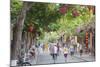 Street Scene, Hoi An, Quang Nam, Vietnam, Indochina, Southeast Asia, Asia-Ian Trower-Mounted Photographic Print