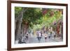 Street Scene, Hoi An, Quang Nam, Vietnam, Indochina, Southeast Asia, Asia-Ian Trower-Framed Photographic Print