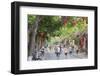 Street Scene, Hoi An, Quang Nam, Vietnam, Indochina, Southeast Asia, Asia-Ian Trower-Framed Photographic Print