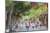 Street Scene, Hoi An, Quang Nam, Vietnam, Indochina, Southeast Asia, Asia-Ian Trower-Mounted Photographic Print