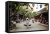 Street Scene, Hoi An, Vietnam, Indochina, Southeast Asia, Asia-Yadid Levy-Framed Stretched Canvas