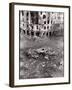 Street Scene in Budapest During First Aftermath of Fighting Against Soviet-Backed Regime-null-Framed Photographic Print