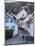 Street Scene in Fjallbacka, Bohuslan Region, West Coast, Sweden, Scandinavia, Europe-Yadid Levy-Mounted Photographic Print