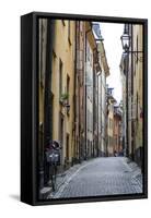 Street Scene in Gamla Stan, Stockholm, Sweden, Scandinavia, Europe-Yadid Levy-Framed Stretched Canvas