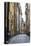 Street Scene in Gamla Stan, Stockholm, Sweden, Scandinavia, Europe-Yadid Levy-Stretched Canvas