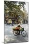 Street Scene in the Old Quarter, Hanoi, Vietnam, Indochina, Southeast Asia, Asia-Yadid Levy-Mounted Photographic Print