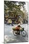 Street Scene in the Old Quarter, Hanoi, Vietnam, Indochina, Southeast Asia, Asia-Yadid Levy-Mounted Photographic Print