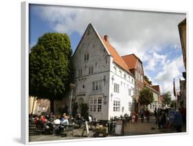 Street Scene in Tonder, Jutland, Denmark, Scandinavia, Europe-Yadid Levy-Framed Photographic Print