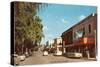 Street Scene in Winter Park-null-Stretched Canvas