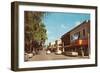 Street Scene in Winter Park-null-Framed Art Print