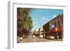 Street Scene in Winter Park-null-Framed Art Print