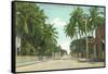 Street Scene, Key West, Florida-null-Framed Stretched Canvas