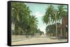 Street Scene, Key West, Florida-null-Framed Stretched Canvas
