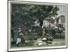 Street Scene, Kingston, Jamaica, C1880-null-Mounted Premium Giclee Print