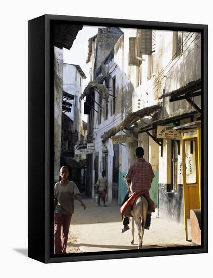 Street Scene, Lamu, Kenya, East Africa, Africa-Storm Stanley-Framed Stretched Canvas