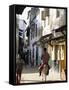 Street Scene, Lamu, Kenya, East Africa, Africa-Storm Stanley-Framed Stretched Canvas