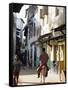 Street Scene, Lamu, Kenya, East Africa, Africa-Storm Stanley-Framed Stretched Canvas