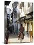 Street Scene, Lamu, Kenya, East Africa, Africa-Storm Stanley-Stretched Canvas