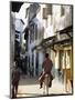 Street Scene, Lamu, Kenya, East Africa, Africa-Storm Stanley-Mounted Premium Photographic Print