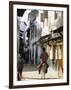 Street Scene, Lamu, Kenya, East Africa, Africa-Storm Stanley-Framed Photographic Print