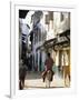 Street Scene, Lamu, Kenya, East Africa, Africa-Storm Stanley-Framed Photographic Print