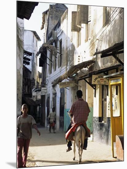 Street Scene, Lamu, Kenya, East Africa, Africa-Storm Stanley-Mounted Photographic Print