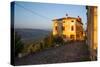 Street Scene, Motovun, Central Istria, Croatia, Europe-Richard Maschmeyer-Stretched Canvas