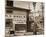 Street Scene, New Orleans, Louisiana, 1935-Walker Evans-Mounted Art Print