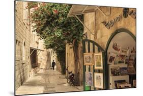 Street Scene, Old City, Jerusalem, UNESCO World Heritage Site, Israel, Middle East-Eleanor Scriven-Mounted Photographic Print
