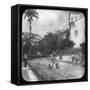 Street Scene, Pernambuco, Brazil, Late 19th or Early 20th Century-null-Framed Stretched Canvas