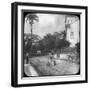 Street Scene, Pernambuco, Brazil, Late 19th or Early 20th Century-null-Framed Photographic Print