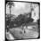 Street Scene, Pernambuco, Brazil, Late 19th or Early 20th Century-null-Mounted Photographic Print