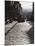 Street Scene, San Miguel De Allende, Guanajuato State, Mexico, North America-Robert Harding-Mounted Photographic Print