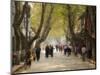 Street Scene, Souzhou (Suzhou), China, Asia-Jochen Schlenker-Mounted Photographic Print