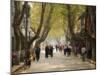 Street Scene, Souzhou (Suzhou), China, Asia-Jochen Schlenker-Mounted Photographic Print