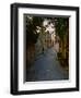 Street Scene, St. Paul de Vence, France-Charles Sleicher-Framed Photographic Print