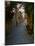 Street Scene, St. Paul de Vence, France-Charles Sleicher-Mounted Photographic Print