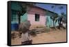 Street Scene, Village of Abi-Adi, Tigre Region, Ethiopia, Africa-Bruno Barbier-Framed Stretched Canvas