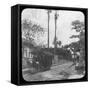 Street Scene with Horse-Drawn Tram, Pernambuco, Brazil, Late 19th or Early 20th Century-null-Framed Stretched Canvas