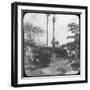 Street Scene with Horse-Drawn Tram, Pernambuco, Brazil, Late 19th or Early 20th Century-null-Framed Photographic Print